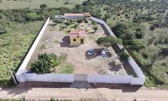 Imagem 2: Chácara / Sítio em Retirolândia/BA