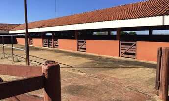 Imagem 3: Fazenda em riolandia s.p 185 alqueires 40.000.000.00 ( dud