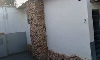 Imagem 5: Casa para venda possui 300 metros quadrados com 3 quartos Bairro João Pinheiro - Belo Hori