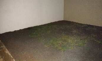 Imagem 6: Casa para alugar