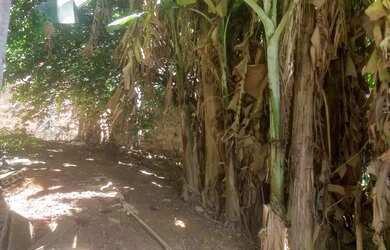 Imagem 3: Terreno 6x19 murado Parque São Cristóvão