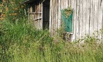 Imagem 5: 123. Fazendo no Município de Aquidauana/MS