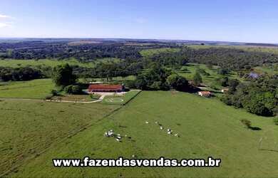 Imagem 3: Fazenda 25,5 alqueires em Corumbá de Goiás próximo a Alexânia GO