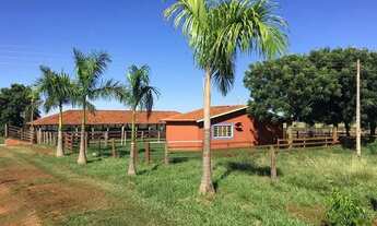 Imagem 2: Fazenda em riolandia s.p 185 alqueires 40.000.000.00 ( dud