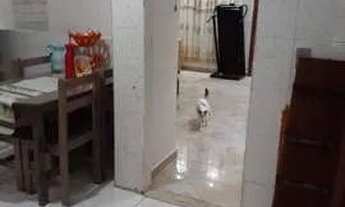 Imagem 6: Casa em Piraja Casa com 2 dormitórios