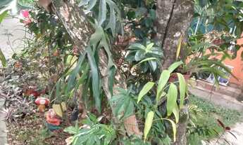 Imagem 3: Campeonato mundial de surf Saquarema