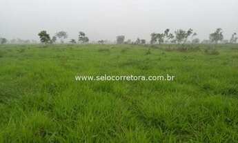 Imagem 5: Excelente Fazenda no Muni.de Cuiabá