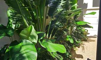 Imagem 7: Casa Vila Madalena 1