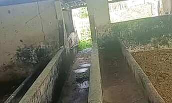 Imagem 2: Vende-se granja Chácara com venda por R$400