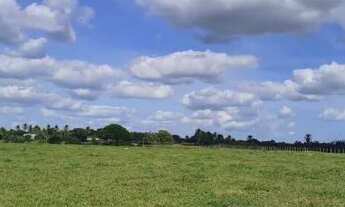 Imagem 3: SITIO CHACARA FAZENDA CONCEICAO JACUIPE (BERIMBAU) 7 TAREFAS OTIMA LOCALIZACAO