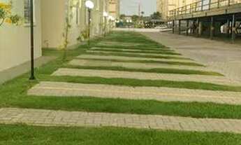 Imagem 4: Alugo apartamento no centro de Paulista