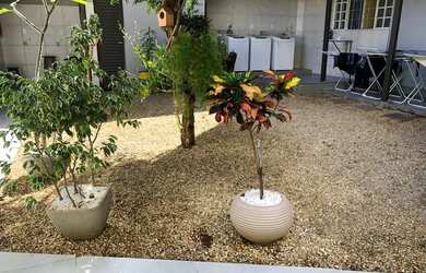 Imagem 5: Residencial estilo república para estudantes ou trabalhadores em Goiânia GO