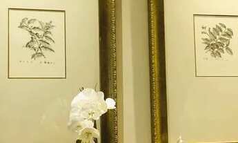 Imagem 7: SÃO PAULO - Apartamento Padrão - Higienópolis