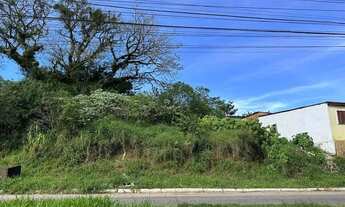 Imagem 6: Terreno pq índio Jari Viamão 27 de frente