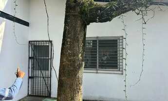 Imagem 6: Galpao em Simoes Filho proximo a Br 324