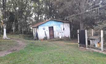 Imagem 7: Chácara em Mandirituba