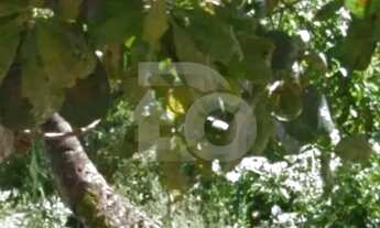 Imagem 3: Terreno de 570m² na Zona de Expansão no Bairro Mosqueiro - Aracaju/SE