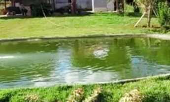 Imagem: Chácara Lazer Goianira pega troca