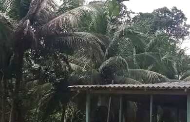 Imagem: Sítio no Ramal do Piauí