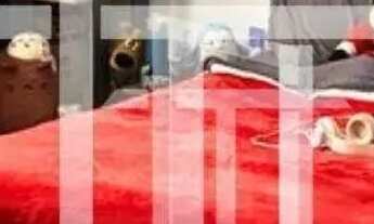 Imagem 6: Casa com 4 dormitórios à venda, 200 m² por R$ 1.499.000,00 - Jardim dos Estados - Poços de