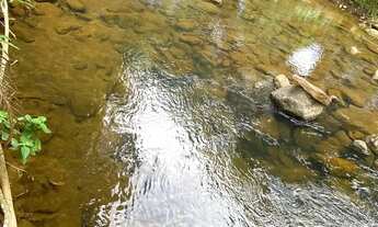 Imagem 6: Vendo terreno com casa