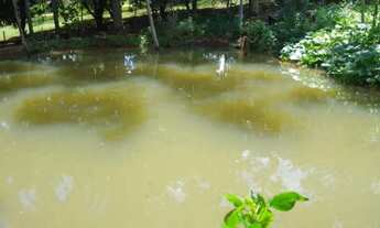 Imagem 2: Chácara de 5.000 m² - Muita Água, Terra Produtiva e Localização Privilegiada!