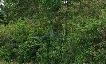 Imagem 2: Terreno de 6,5 Tarefas