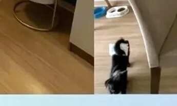 Imagem: Imóvel para venda possui 51 metros quadrados