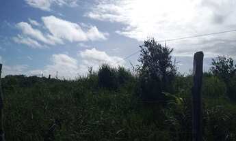 Imagem 5: Vendo excelente sítio em jaguaripe