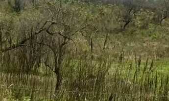 Imagem: 85A- TERRENOS COM BOA LOCALIDADE EM ATIBAIA