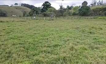 Imagem 7: CHÁCARA CAMINHO DO OURO