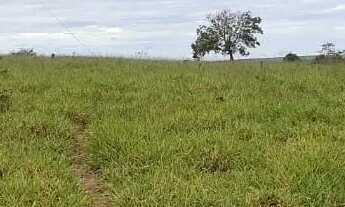 Imagem 3: Vendo terreno rural no girassol