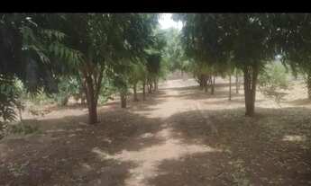 Imagem 2: Sítio em jeremoabo