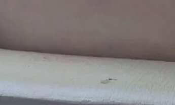 Imagem 7: LINDO APARTAMENTO NA PONTA DO FAROL NASCENTE / VENTILADO /REFORMADO E PROJETADO, VIST MAR