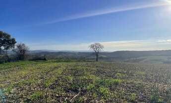 Imagem 6: Terreno rural 5 ha em Candeias/Cristais/Campo Belo