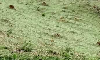 Imagem 5: Terreno 19 mil m2 pasto em Nazaré Paulista SP