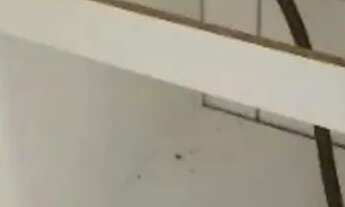 Imagem 3: RR8986 Apartamento 57m² CONDOMÍNIO TIMARIA II - OPORTUNIDADE - 2 Dorms 2 Vagas - Barueri