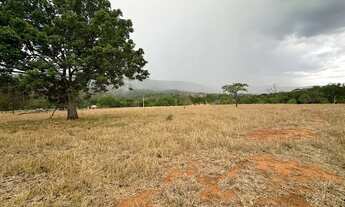 Imagem 3: Chácara de 24 hectares