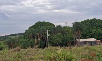 Imagem 6: Chácara entre Turvania e Firminopolis