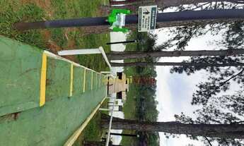 Imagem 4: Terreno à venda, 5000 m² por R$ 1.640.000,00 - Chácaras Cataguá - Taubaté/SP