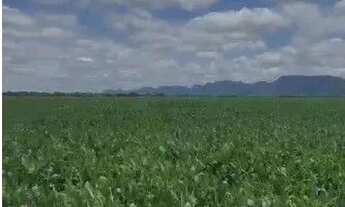 Imagem: Fazenda de 2.396 hectares na região da