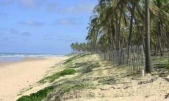 Imagem 2: Terreno Subauma 1520 hectares com 1060 metros frente mar