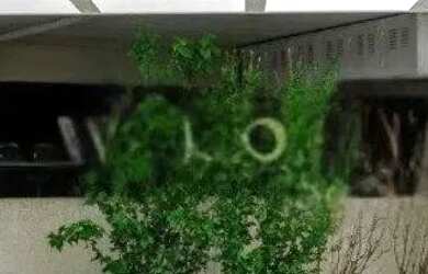 Imagem 5: Apartamento em Jardim Botânico