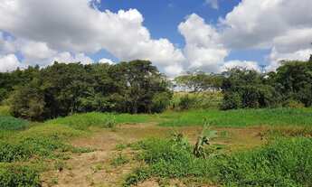 Imagem 3: Chácara com 7mil metros² em terreno