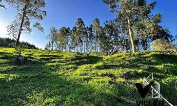 Imagem 3: Terreno a Venda no bairro Rio do Peixe na Cidade de Socorro SP