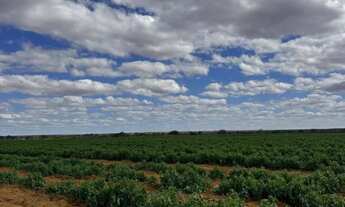 Imagem 7: Fazenda em Varzea Nova