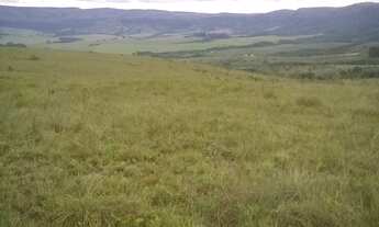 Imagem 4: Chácaras Agroecológicas