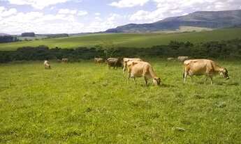 Imagem 2: Chácaras Agroecológicas