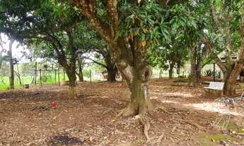 Imagem 7: BAIXEI PARA VENDER - Chácara no loteamento Quinta dos Sonhos - Terreno de 10.000m²