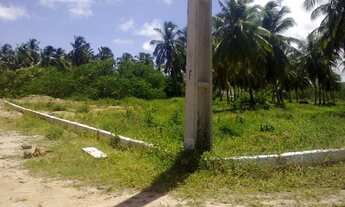 Imagem 3: Terreno em Sao Jose da Coroa Grande